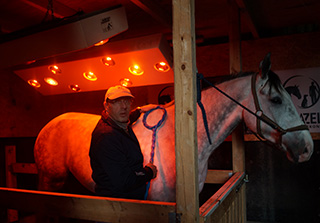 Solarium - Teil der Gesamtanlage