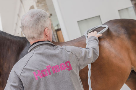 Anwendung mit Hofmag am Rücken vom Pferd