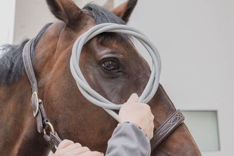 Hofmag in der Anwendung in sensiblen Bereichen