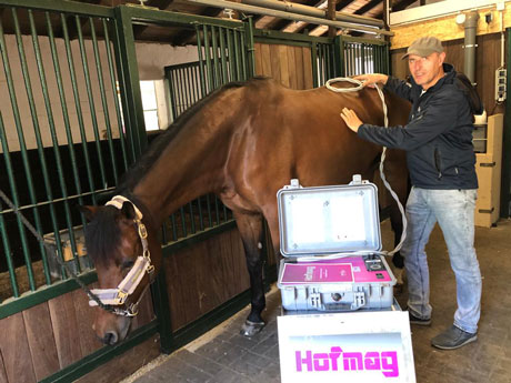 Michael und ein Pferd bei einer Anwendung mit Hofmag