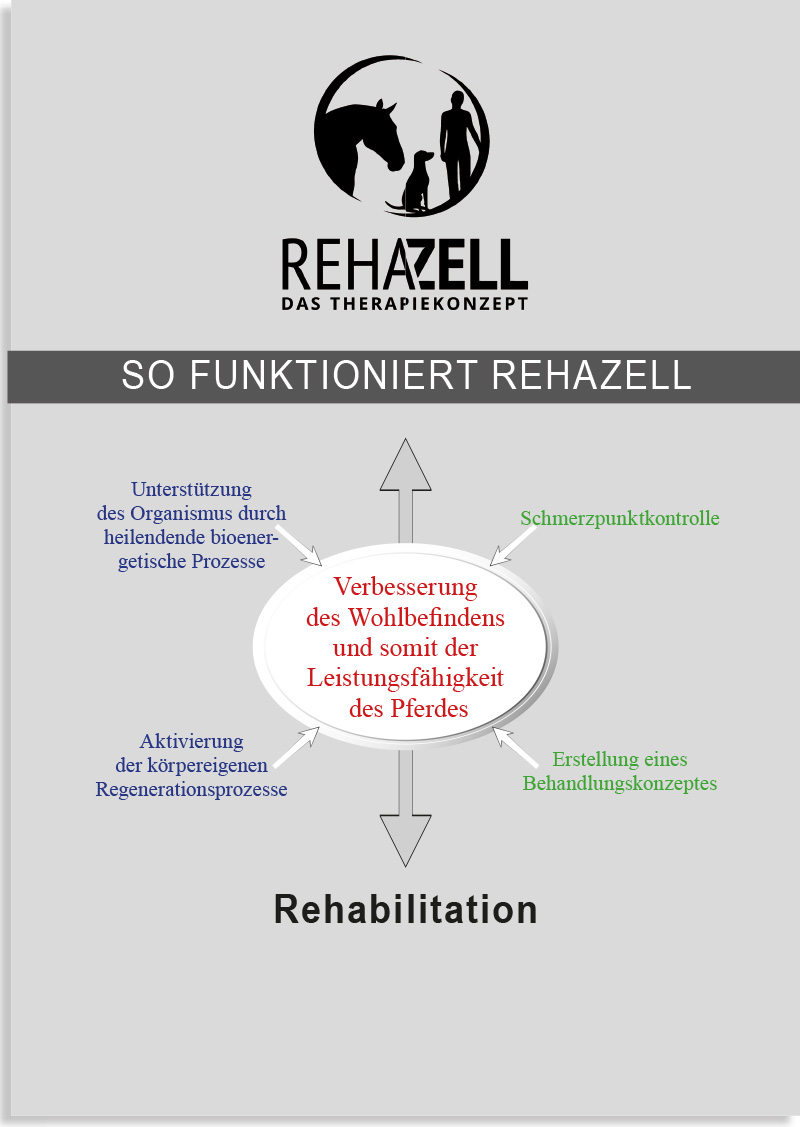 So funktioniert REHAZELL